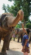 emelyeender Altpins Profile Picture