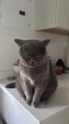 emelyeender Altpins Profile Picture