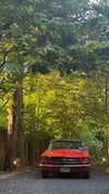 emelyeender Altpins Profile Picture