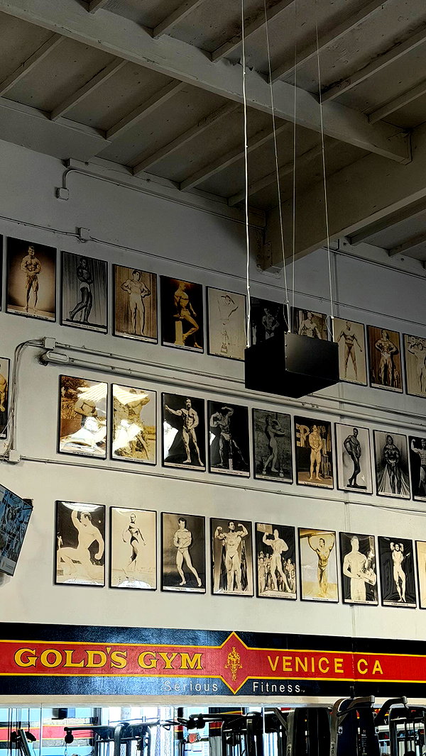 emelyeender instagram image archive image
