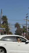 emelyeender Altpins Profile Picture