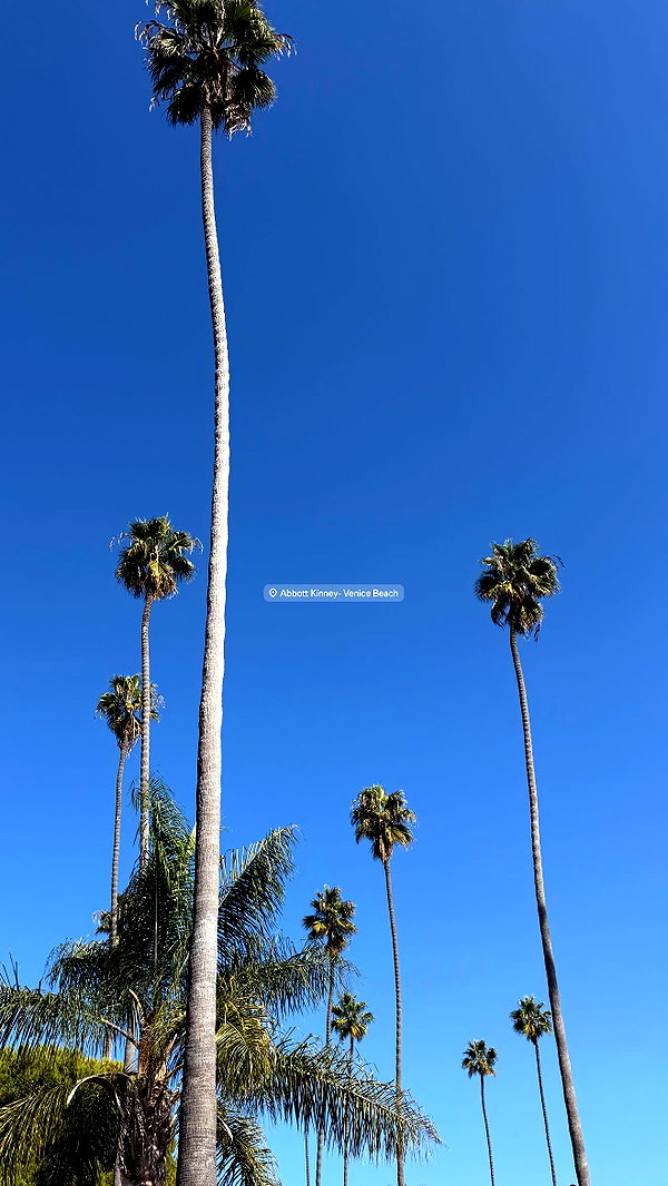 emelyeender instagram image archive image