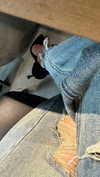 emiliaaa.sfr Altpins Profile Picture