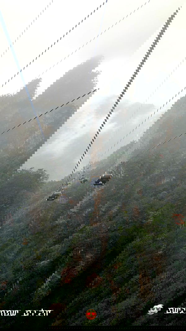 emily.otaku emily.otaku archive image