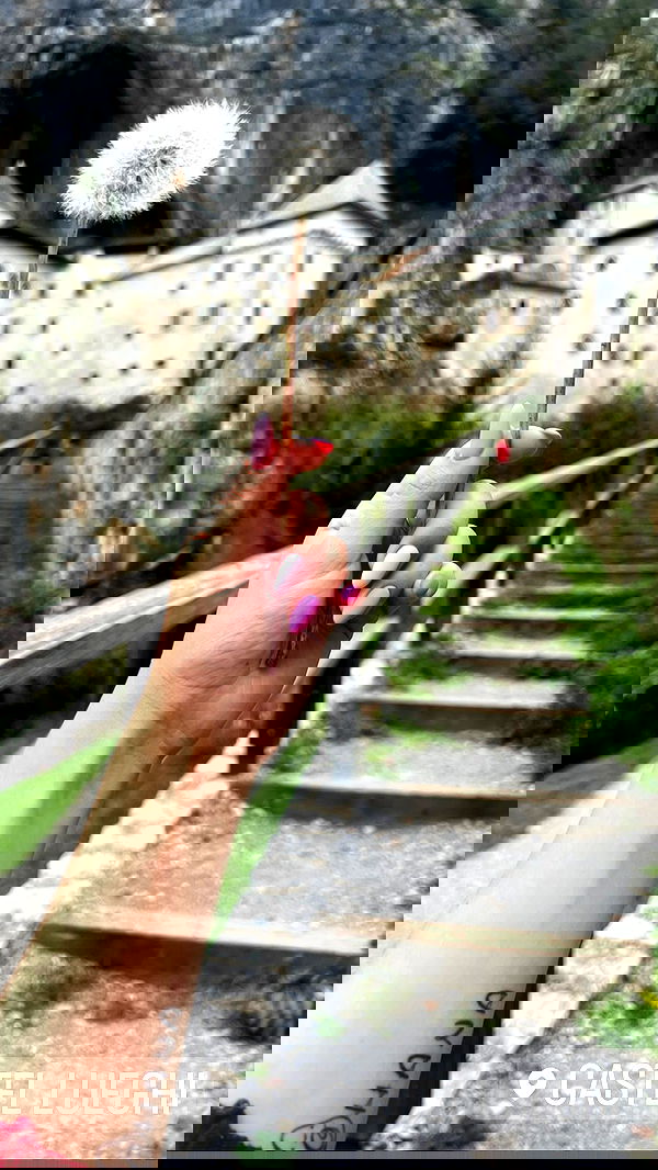 emily.otaku emily.otaku archive image