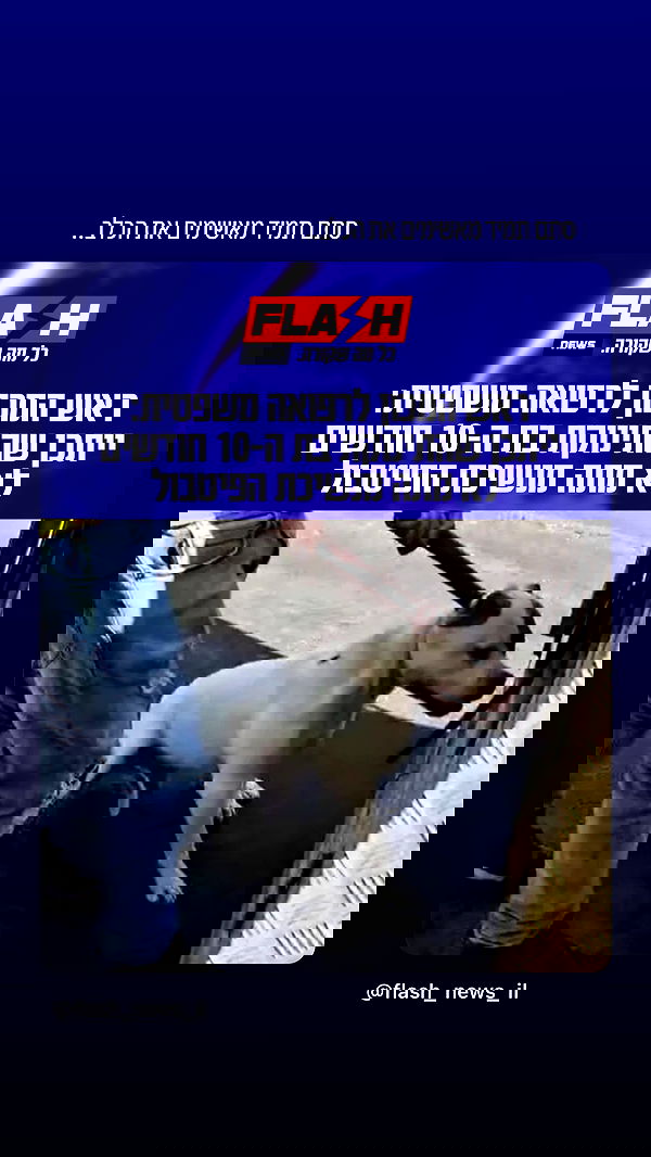 emily.otaku emily.otaku archive image