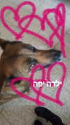 emily_new2 Altpins Profile Picture