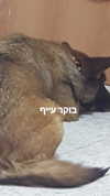 emily_new2 Altpins Profile Picture