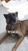 emily_new2 Altpins Profile Picture