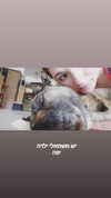 emily_new2 Altpins Profile Picture