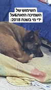 emily_new2 Altpins Profile Picture