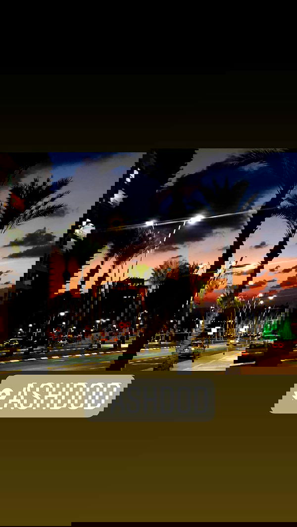 emily_new2 emily_new2 archive image