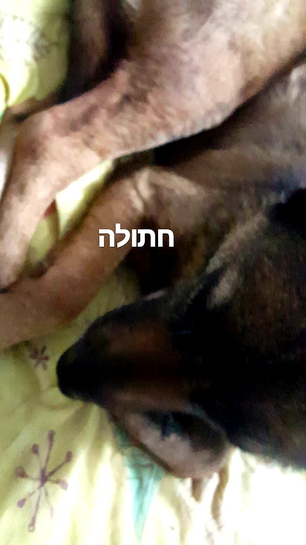 emily_new2 instagram image archive image