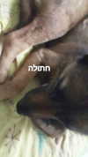 emily_new2 Altpins Profile Picture