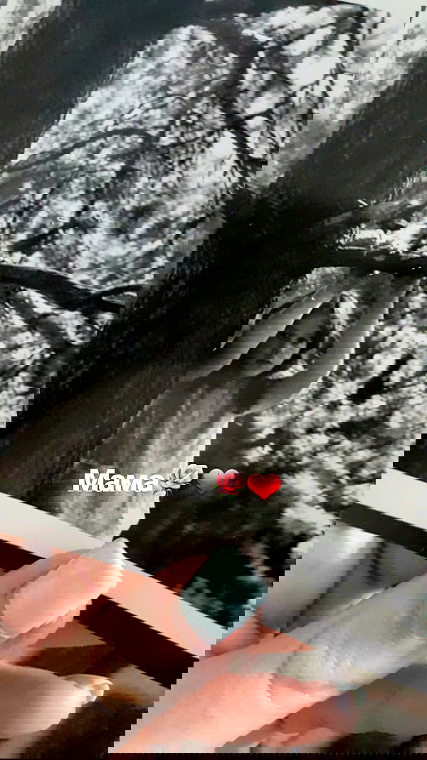 emily_new2 emily_new2 archive image