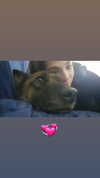 emily_new2 Altpins Profile Picture