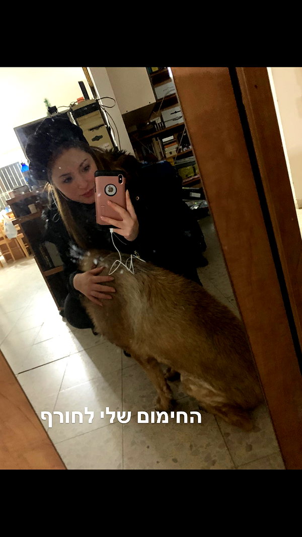 emily_new2 instagram image archive image