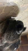 emily_new2 Altpins Profile Picture