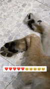 emily_new2 Altpins Profile Picture