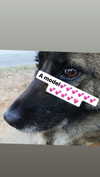 emily_new2 Altpins Profile Picture