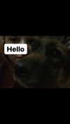 emily_new2 Altpins Profile Picture