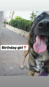 emily_new2 Altpins Profile Picture