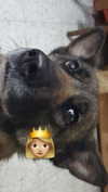 emily_new2 Altpins Profile Picture