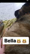 emily_new2 Altpins Profile Picture