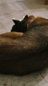 emily_new2 Altpins Profile Picture