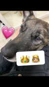 emily_new2 Altpins Profile Picture
