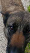 emily_new2 Altpins Profile Picture