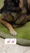 emily_new2 Altpins Profile Picture