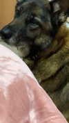 emily_new2 Altpins Profile Picture