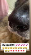 emily_new2 Altpins Profile Picture