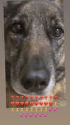 emily_new2 Altpins Profile Picture