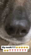 emily_new2 Altpins Profile Picture