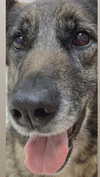 emily_new2 Altpins Profile Picture
