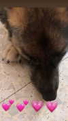 emily_new2 Altpins Profile Picture