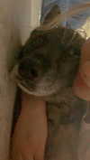 emily_new2 Altpins Profile Picture
