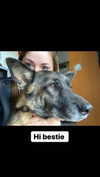 emily_new2 Altpins Profile Picture