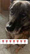 emily_new2 Altpins Profile Picture