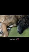 emily_new2 Altpins Profile Picture