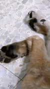 emily_new2 Altpins Profile Picture