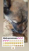 emily_new2 Altpins Profile Picture