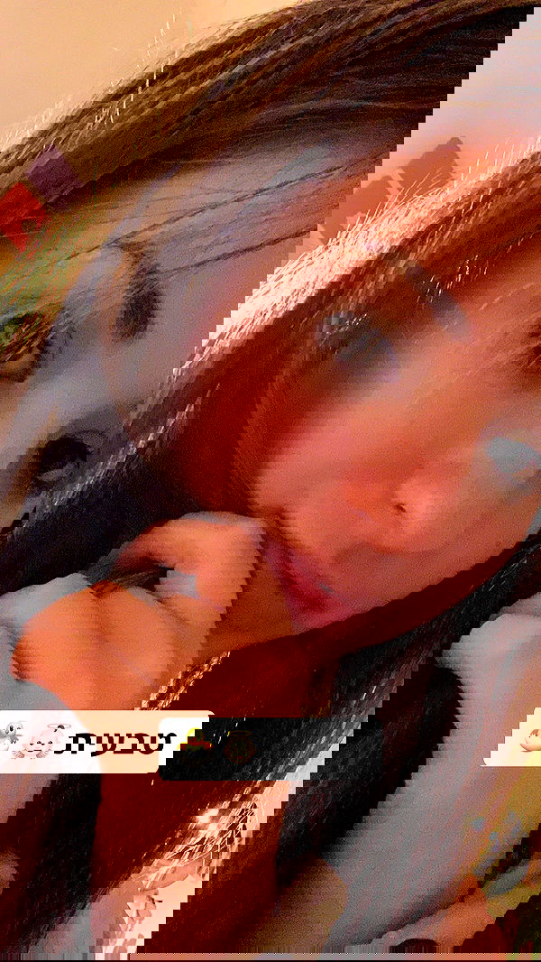 emily_new2 emily_new2 archive image