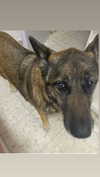 emily_new2 Altpins Profile Picture