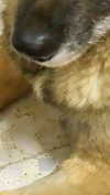 emily_new2 Altpins Profile Picture