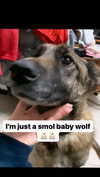 emily_new2 Altpins Profile Picture