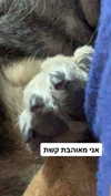 emily_new2 Altpins Profile Picture