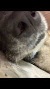emily_new2 Altpins Profile Picture